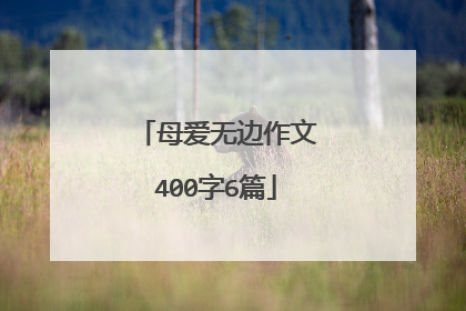 母爱无边作文400字6篇