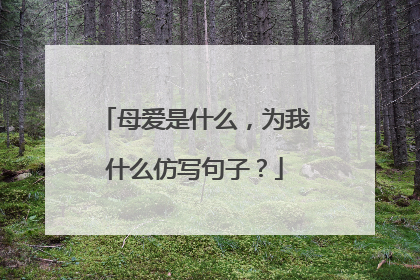 母爱是什么，为我什么仿写句子？