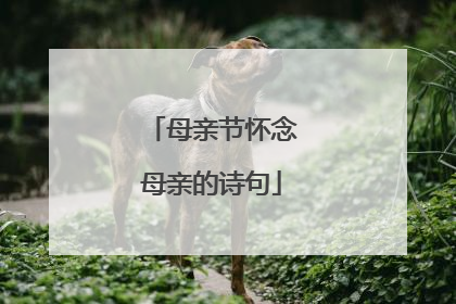 母亲节怀念母亲的诗句