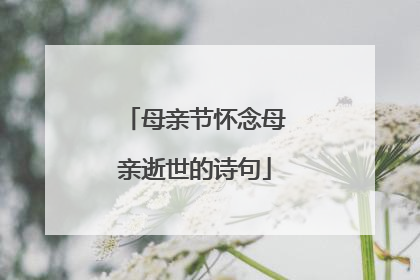 母亲节怀念母亲逝世的诗句