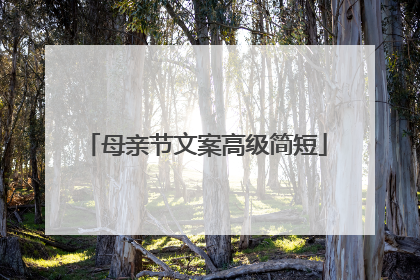 母亲节文案高级简短