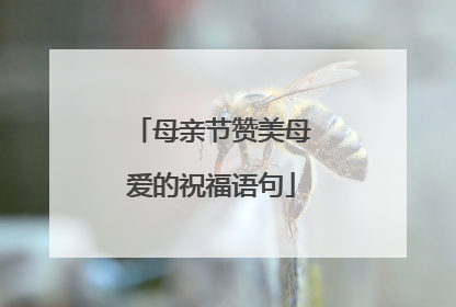 母亲节赞美母爱的祝福语句