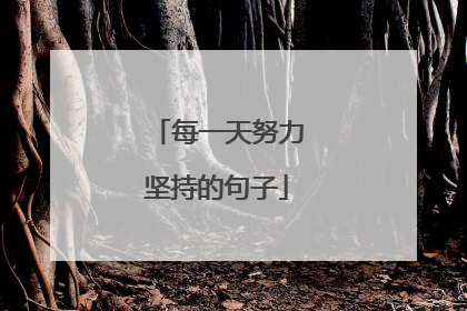 每一天努力坚持的句子