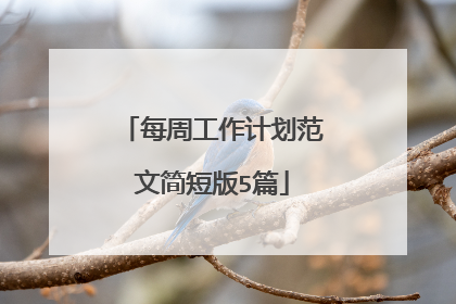 每周工作计划范文简短版5篇