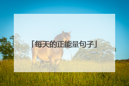 每天的正能量句子