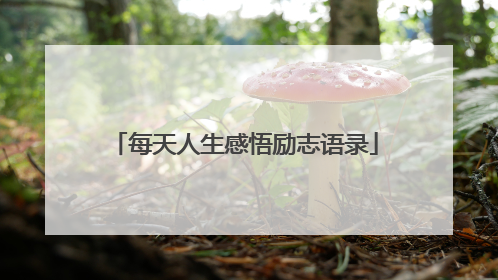 每天人生感悟励志语录