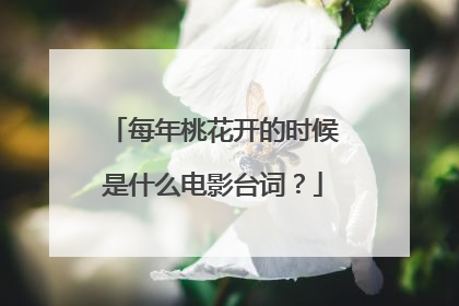 每年桃花开的时候是什么电影台词？