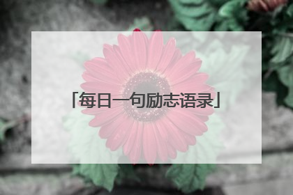 每日一句励志语录