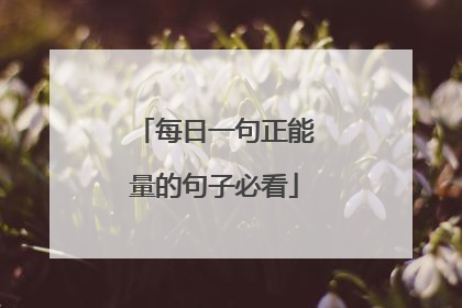 每日一句正能量的句子必看