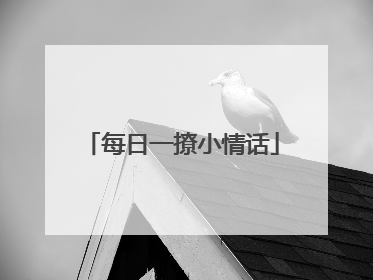每日一撩小情话