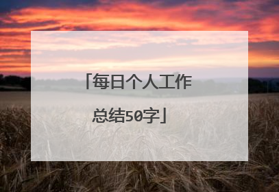 每日个人工作总结50字