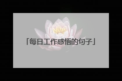 每日工作感悟的句子