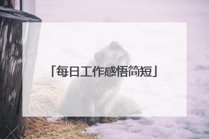 每日工作感悟简短