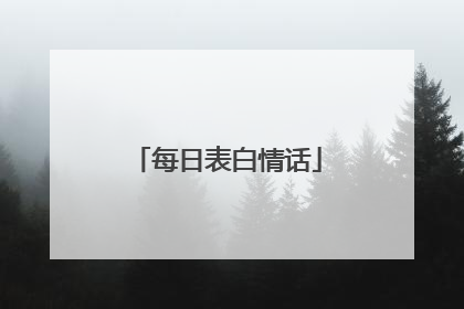 每日表白情话