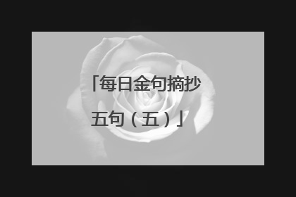 每日金句摘抄五句（五）