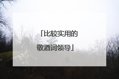 比较实用的敬酒词领导