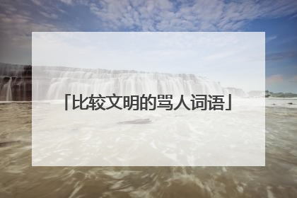 比较文明的骂人词语