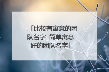 比较有寓意的团队名字 简单寓意好的团队名字