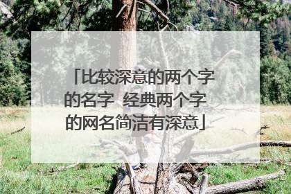 比较深意的两个字的名字 经典两个字的网名简洁有深意