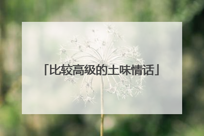 比较高级的土味情话