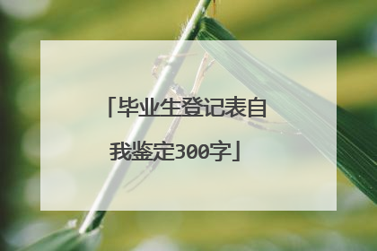 毕业生登记表自我鉴定300字