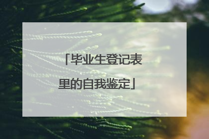 毕业生登记表里的自我鉴定