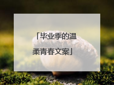 毕业季的温柔青春文案