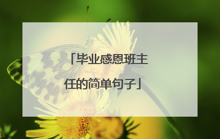 毕业感恩班主任的简单句子