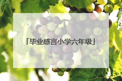 毕业感言小学六年级