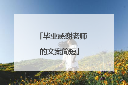 毕业感谢老师的文案简短