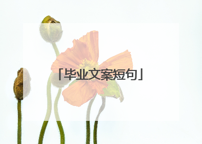 毕业文案短句