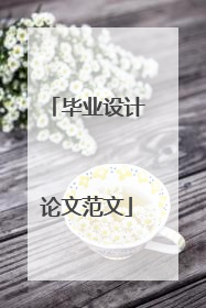 毕业设计论文范文