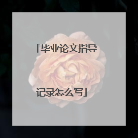 毕业论文指导记录怎么写