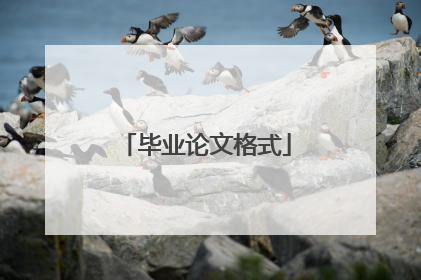 毕业论文格式