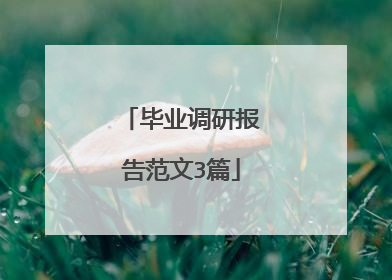 毕业调研报告范文3篇