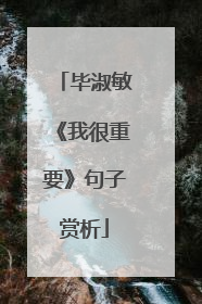 毕淑敏《我很重要》句子赏析