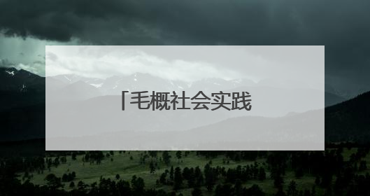 毛概社会实践的调查报告