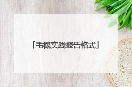 毛概实践报告格式