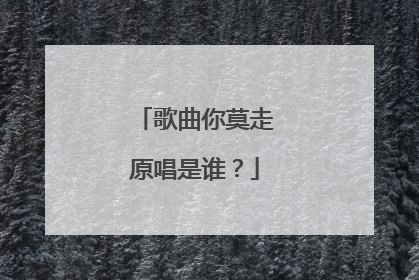 歌曲你莫走原唱是谁？