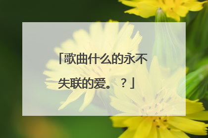 歌曲什么的永不失联的爱。？
