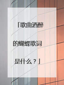 歌曲酒醉的蝴蝶歌词是什么？