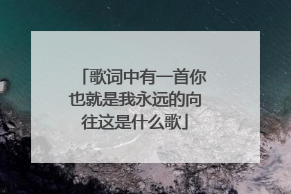 歌词中有一首你也就是我永远的向往这是什么歌