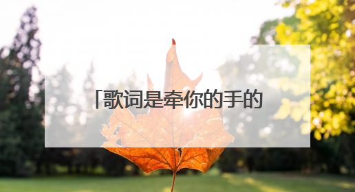 歌词是牵你的手的抖音上很火的一首歌叫什么名字？