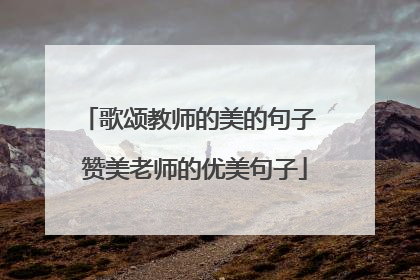 歌颂教师的美的句子 赞美老师的优美句子