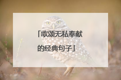 歌颂无私奉献的经典句子