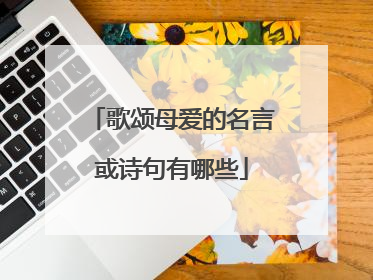 歌颂母爱的名言或诗句有哪些