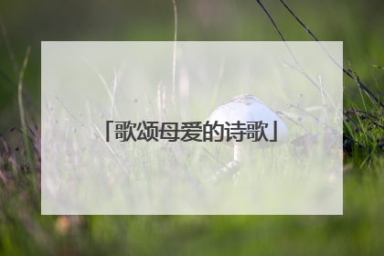 歌颂母爱的诗歌