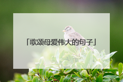 歌颂母爱伟大的句子