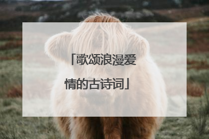 歌颂浪漫爱情的古诗词