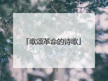 歌颂革命的诗歌